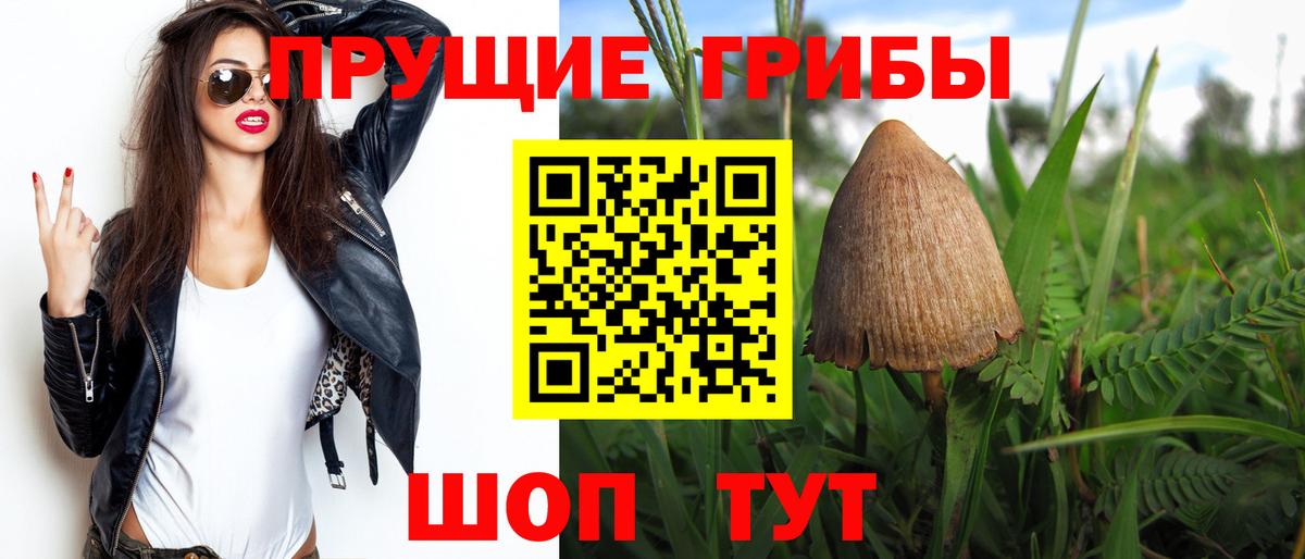 Галлюциногенные грибы Psilocybine cubensis  Вход с VPN  Свободный 