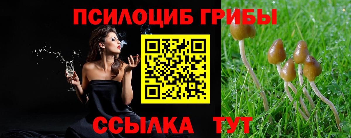 Псилоцибиновые грибы мицелий Свободный